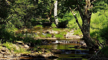 Mountaineer Brand-Spots to see in West Virginia