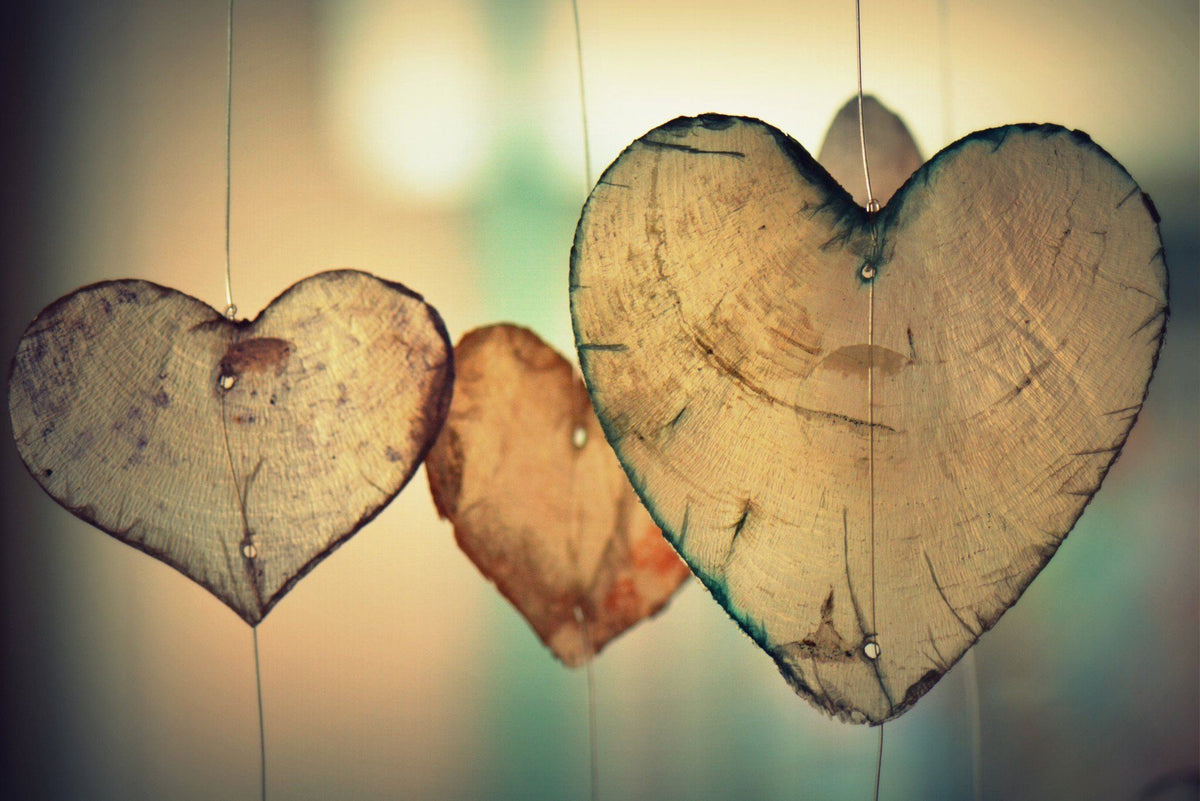 Mountaineer Brand-Valentine's Day Gift Ideas